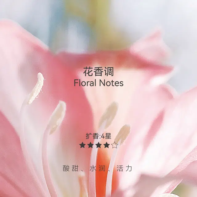 025 EDP 30ml