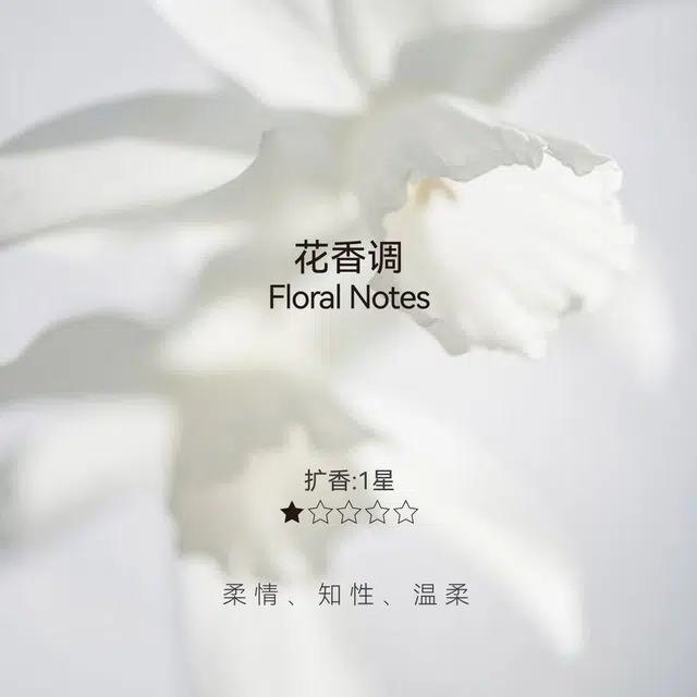 019 EDP 30ml