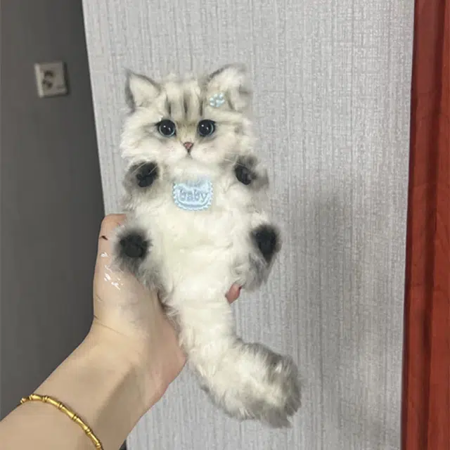 15cm