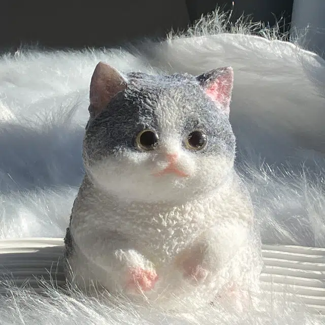 悦悦熊 猫咪捏捏乐 蓝白英短胖呼呼小猫咪 招财猫 软糯解压发泄 陪伴玩具公仔 模型