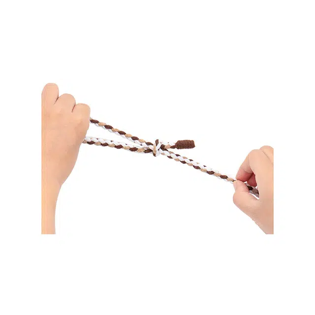 FANJI longchampmini