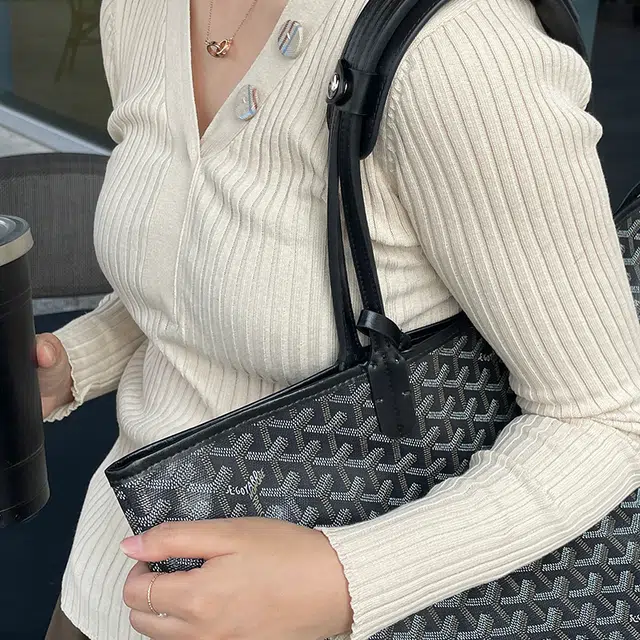 FANJI Goyard