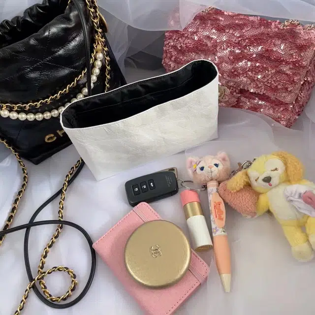 FANJI Chanel22bag