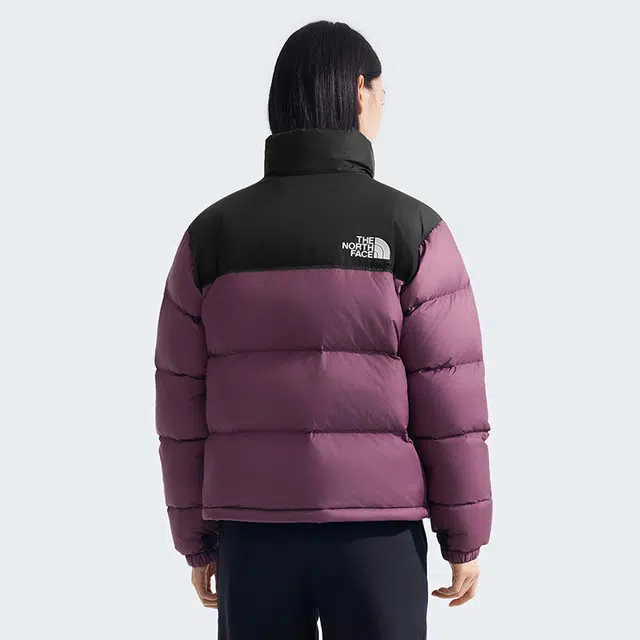 THE NORTH FACE 1996 FW24 logo