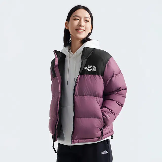 THE NORTH FACE 1996 FW24 logo