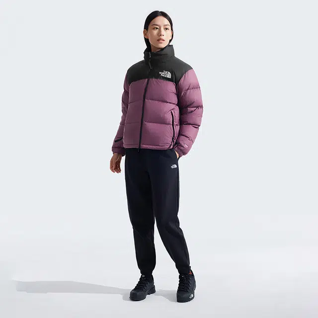 THE NORTH FACE 1996 FW24 logo