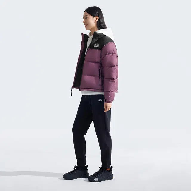 THE NORTH FACE 1996 FW24 logo