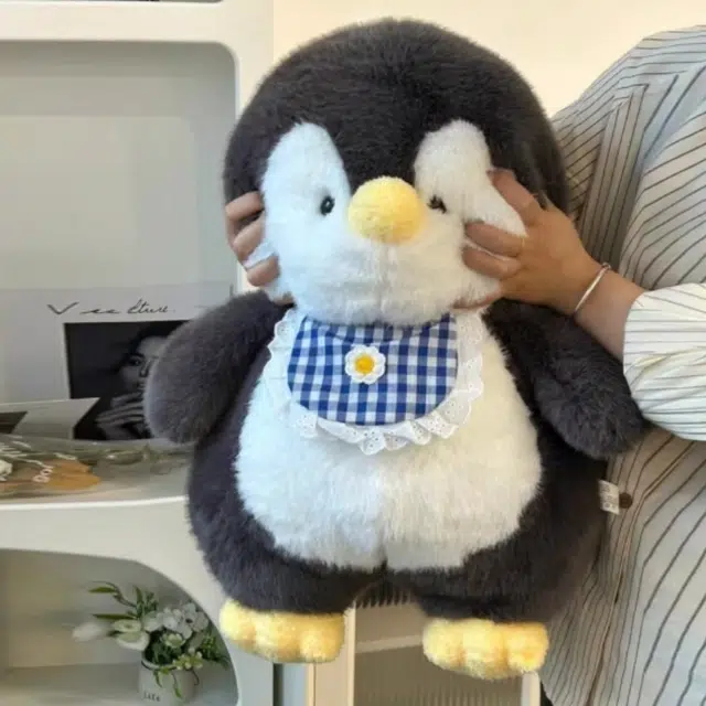 30cm50cm