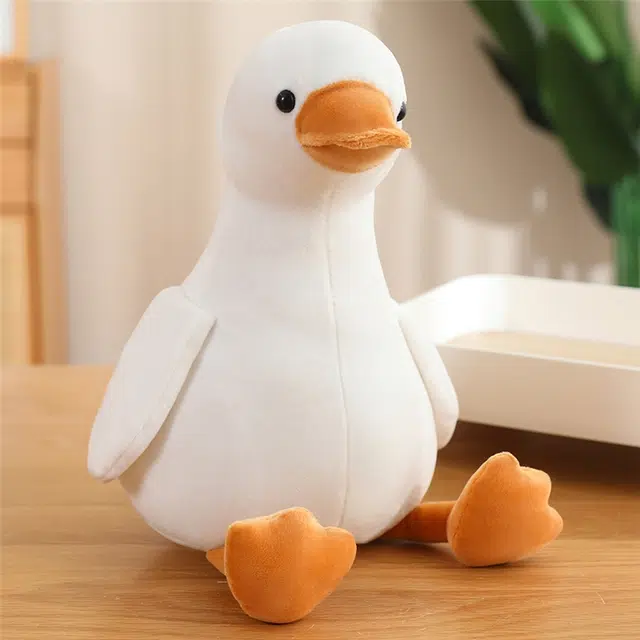 16cm35cm50cm