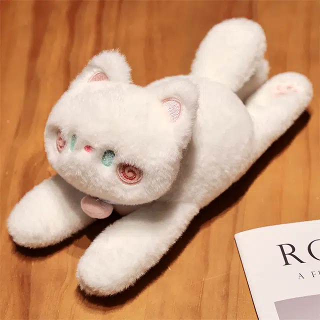 26cm