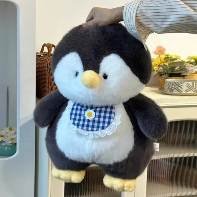 30cm50cm