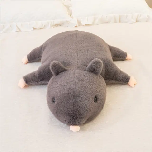 35cm50cm70cm