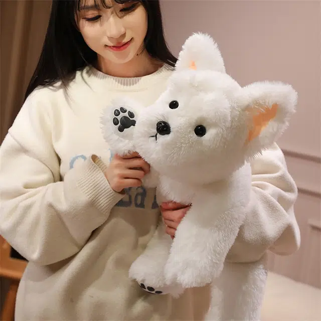 30cm45cm65cm