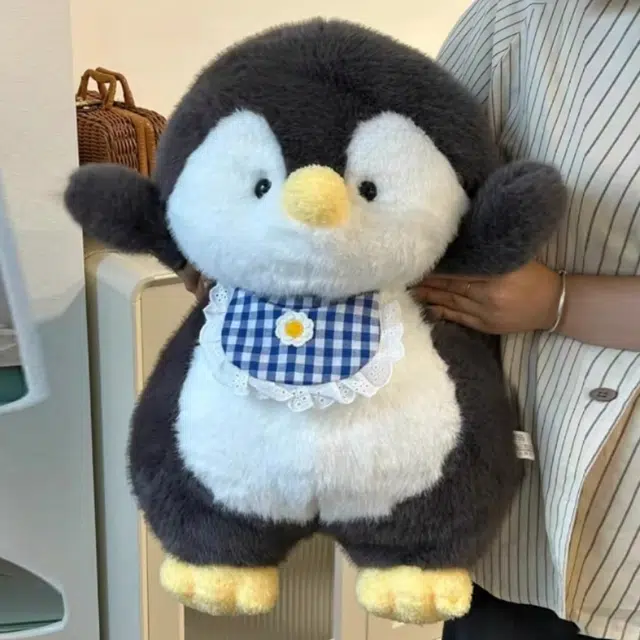 30cm50cm