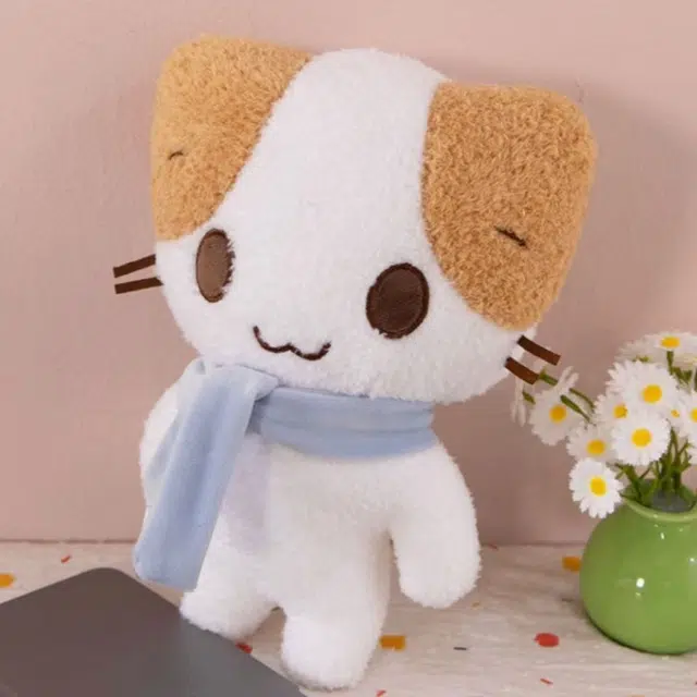 20cm30cm