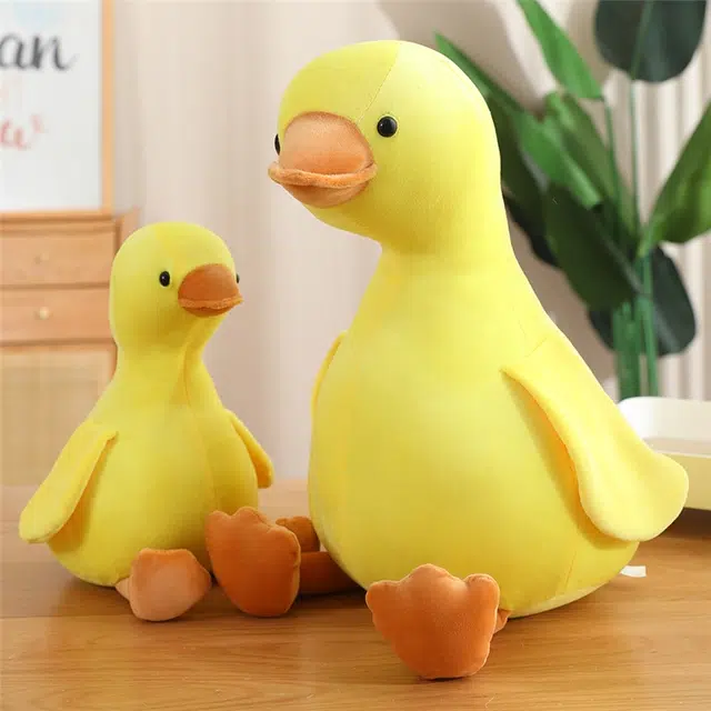 16cm35cm50cm