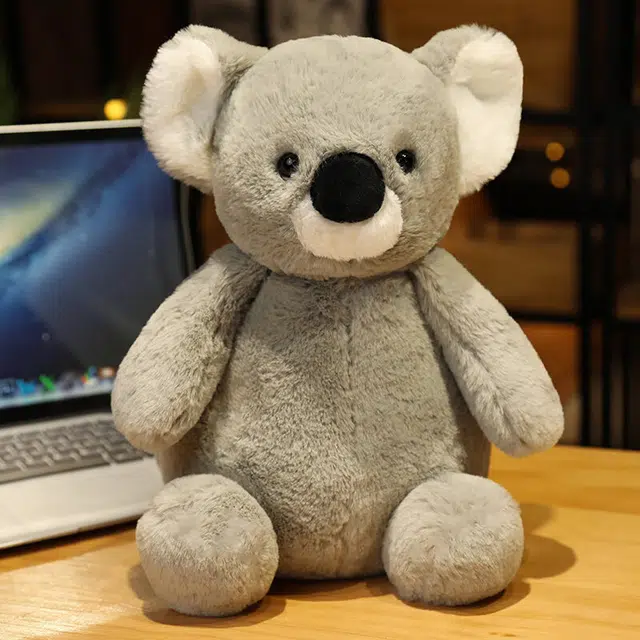 25cm35cm