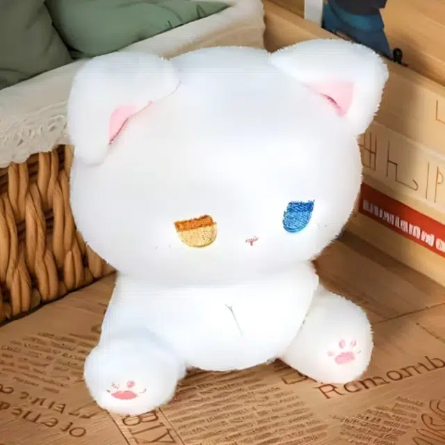 15.5cm22cm