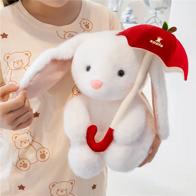 25cm35cm