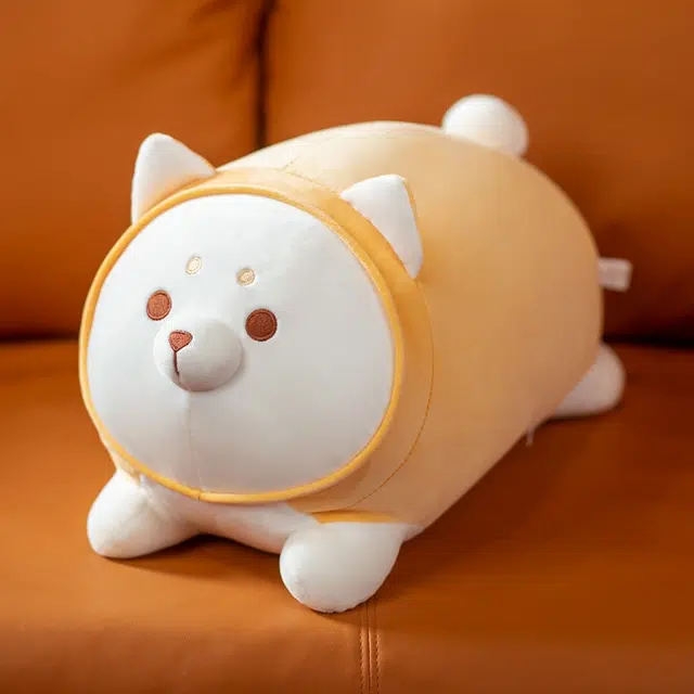 40cm50cm