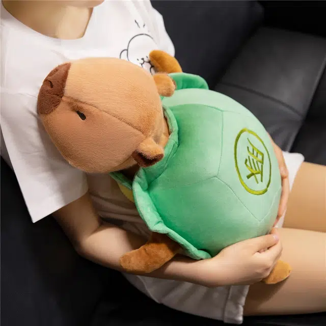 28cm45cm