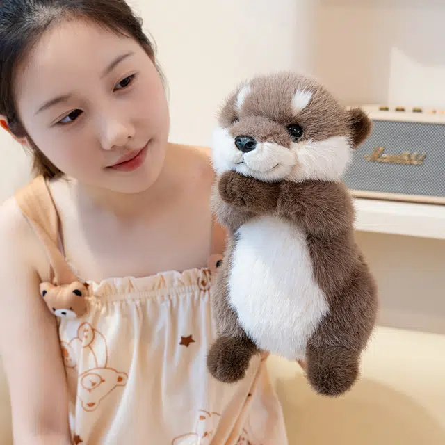 25cm35cm