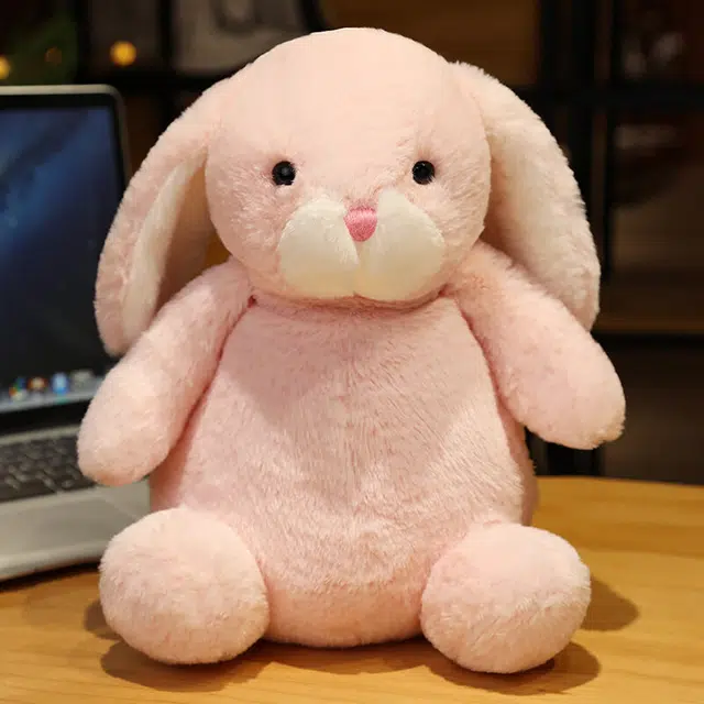 25cm35cm