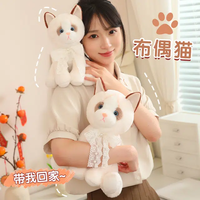 25cm33cm