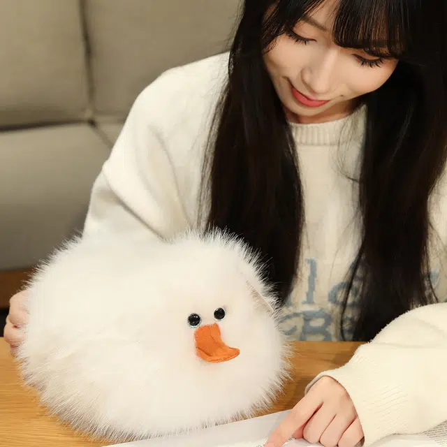 25cm40cm60cm