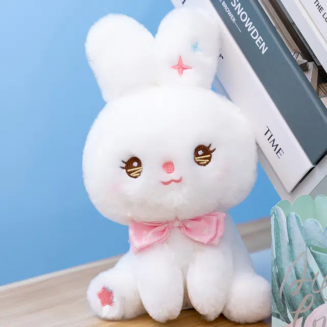 25cm35cm