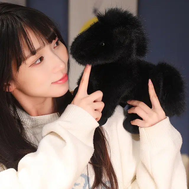 23cm35cm