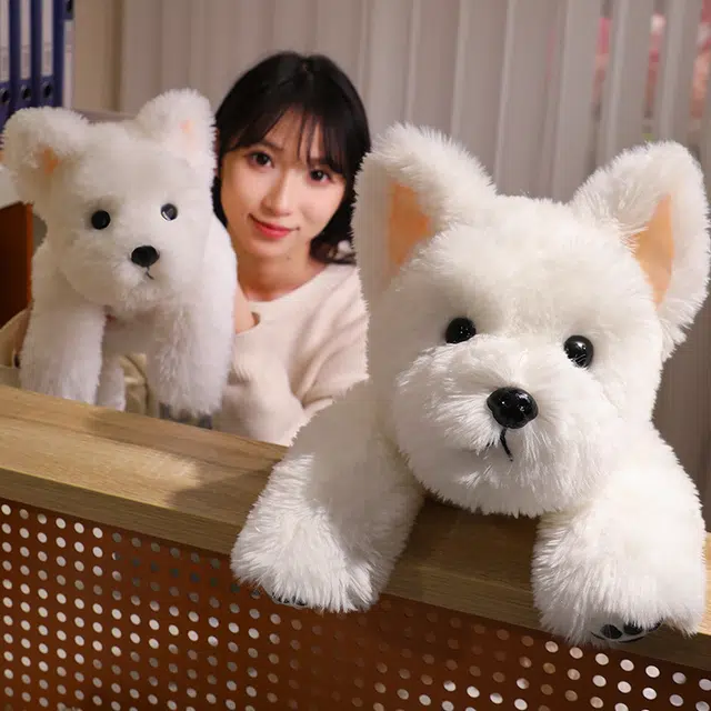 30cm45cm65cm