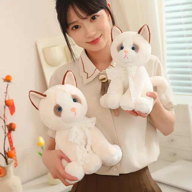 25cm33cm