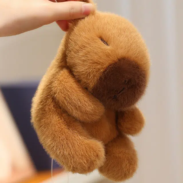 13cm