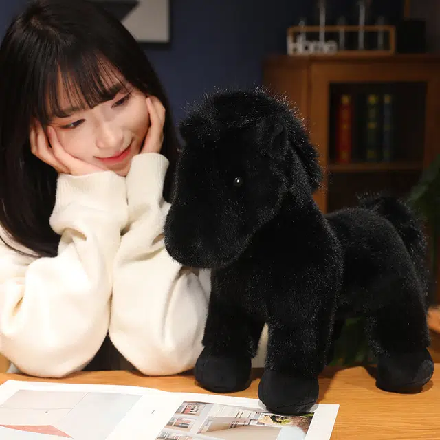 23cm35cm