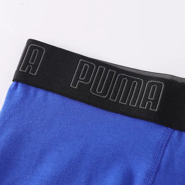 PUMA 2