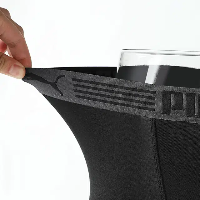PUMA 3