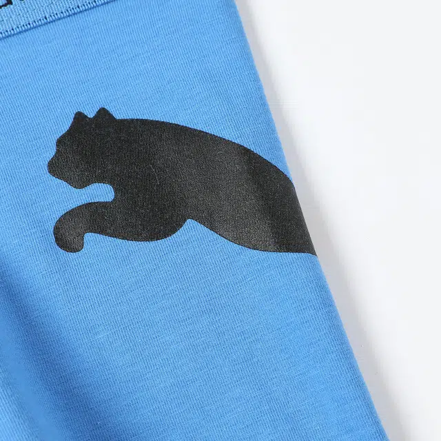PUMA 2