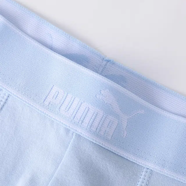 PUMA 3