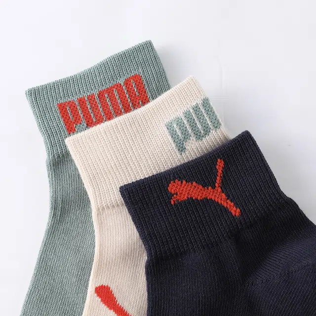 PUMA 3