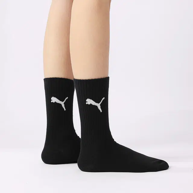 PUMA 3