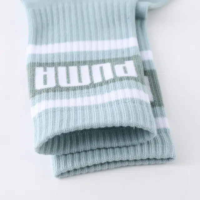PUMA 3