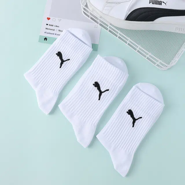 PUMA 3