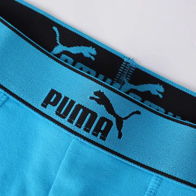 PUMA 3