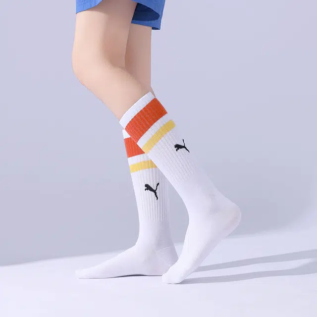 PUMA 3