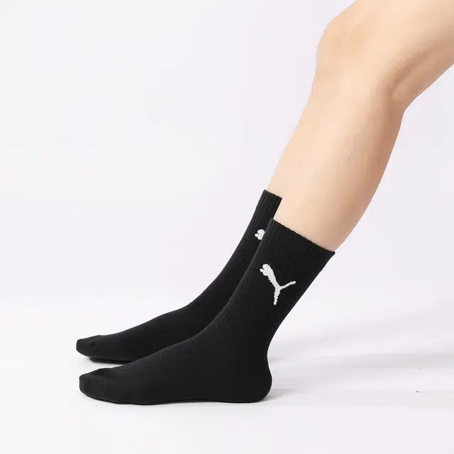 PUMA 3