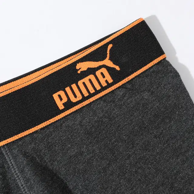 PUMA 3