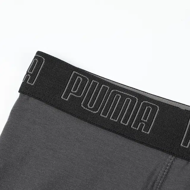 PUMA 2