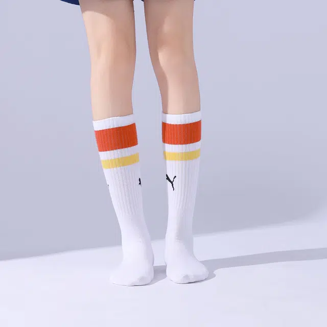PUMA 3