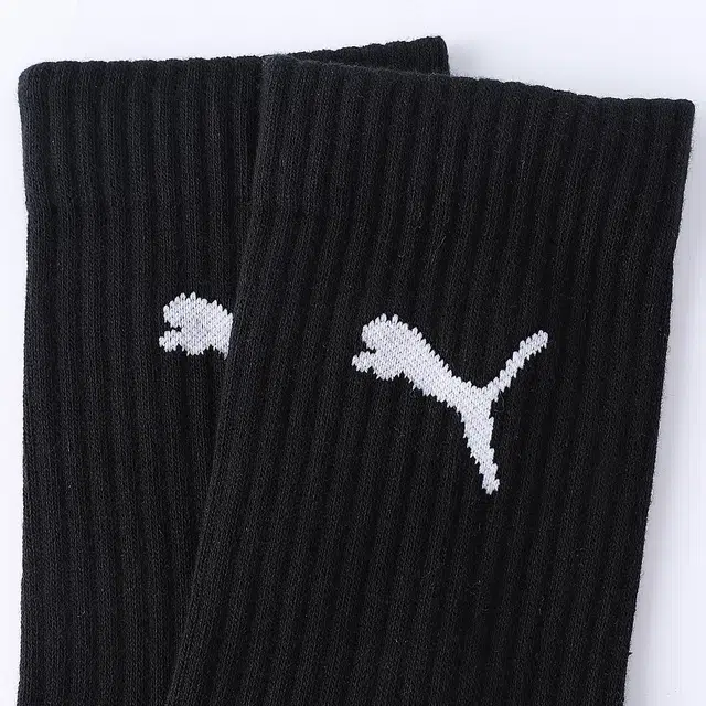 PUMA 3